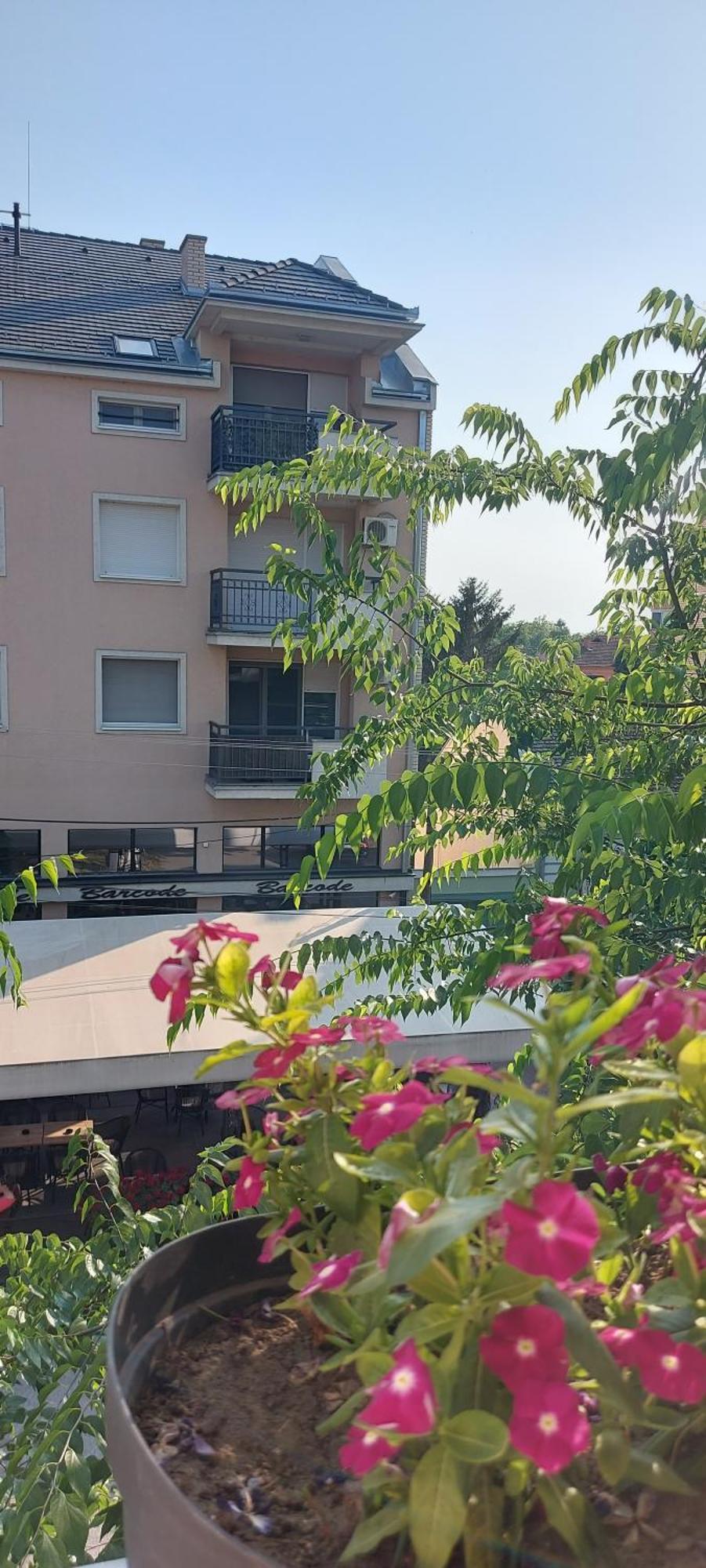 Teanta Apartman Sombor Exterior foto